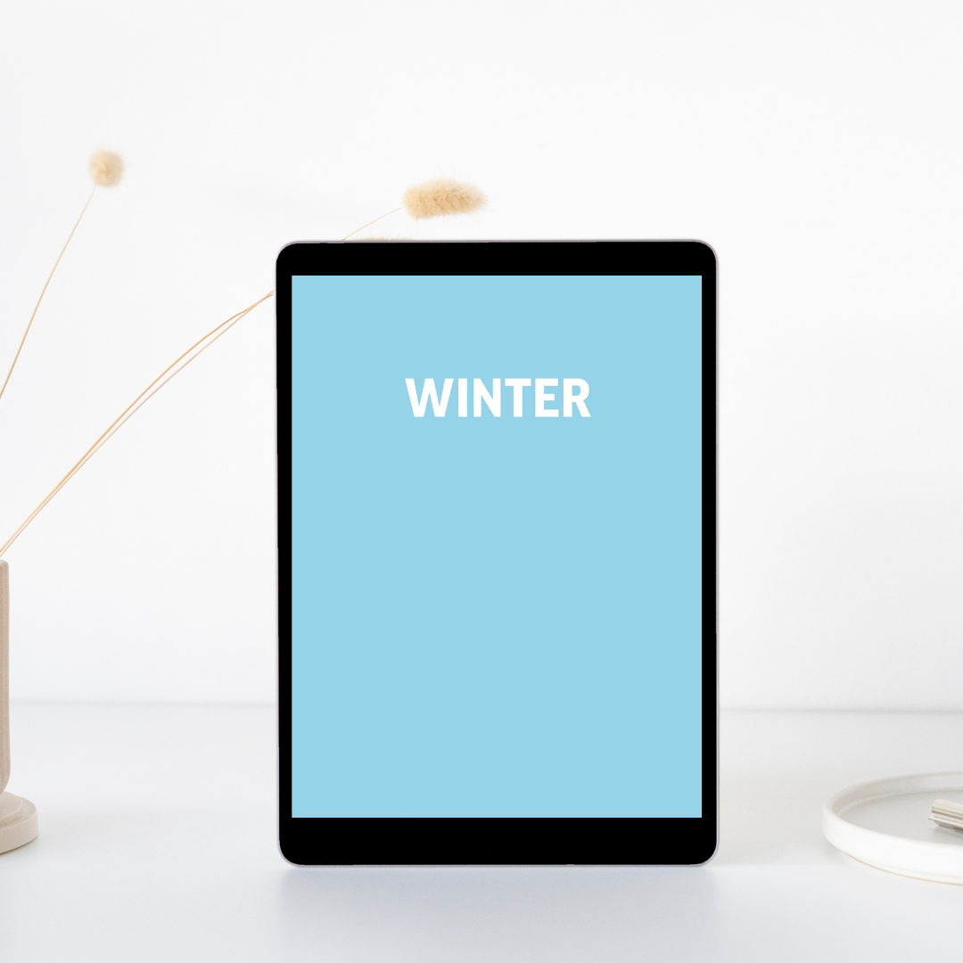 WINTER PLAYBOOK PDF E-book