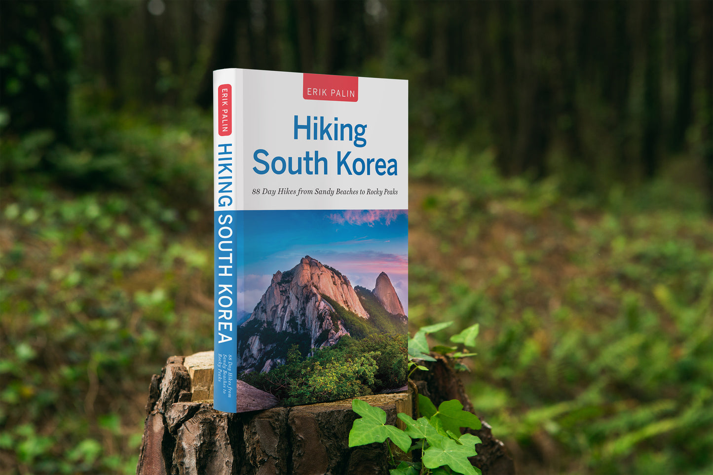 Hiking South Korea