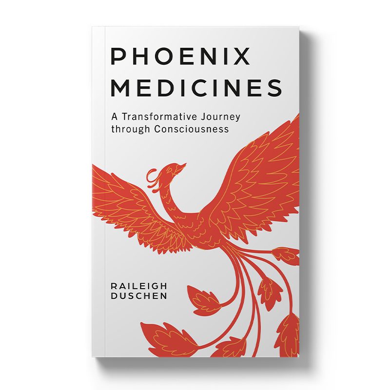 Phoenix Medicines: A transformative Journey through Consciousness Paperback